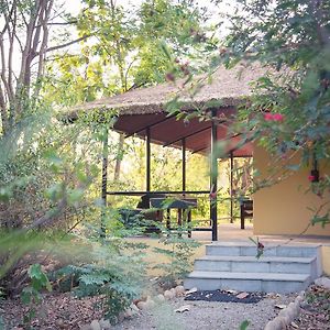 Jungle Cottage