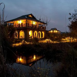 Jungle Lodge
